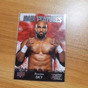 AEW Upper Deck Main Features Scorpio Sky Card